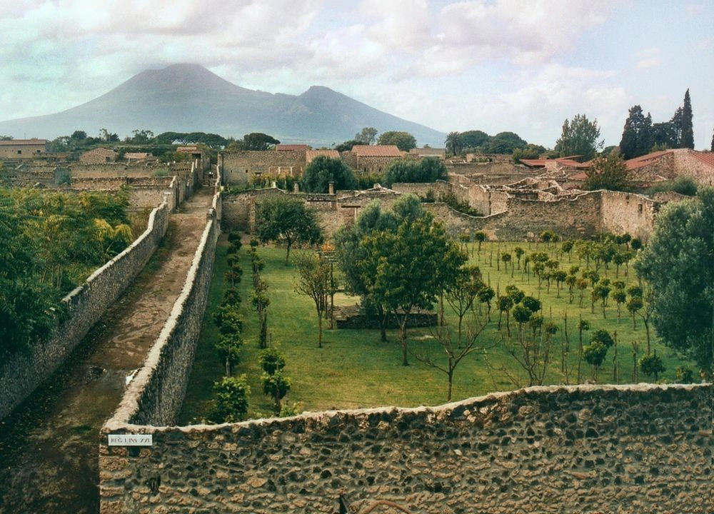 Reconstructed garden in the ruins of Pompeii, Italy