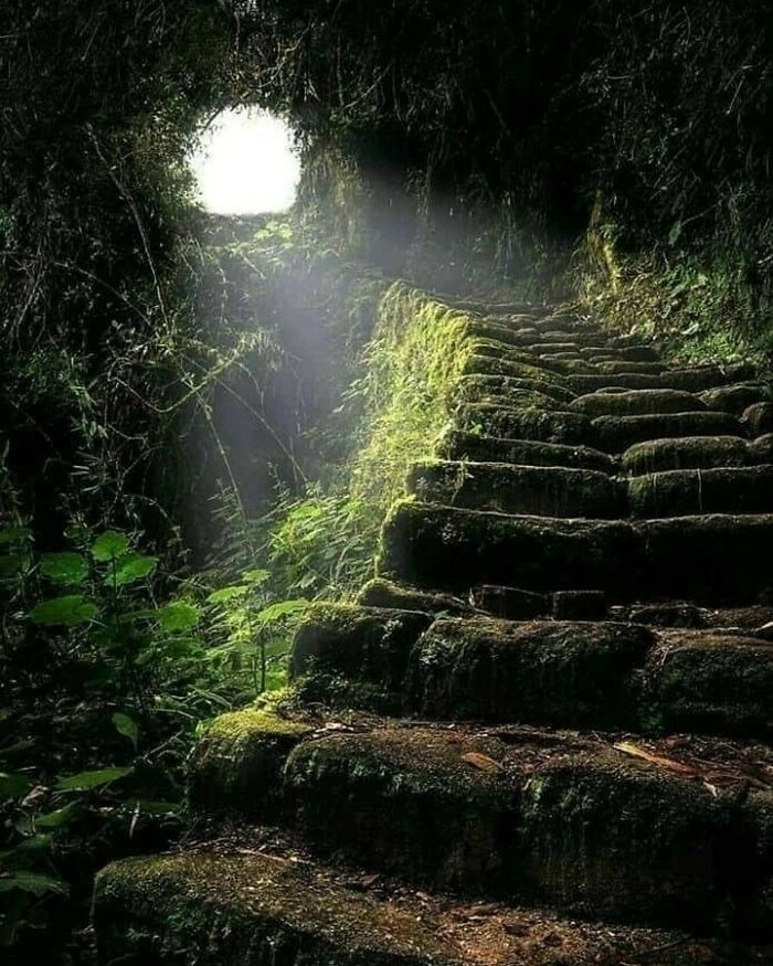 Stairs leading to Machu Pichu, Peru