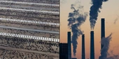 If Animal Farming Were a Country, It Would Be the World’s Second-Largest Climate Polluter — Even Surpassing the U.S.
